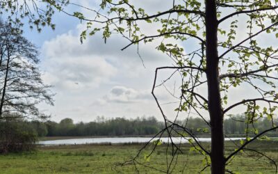 ‘Wandelen in het licht van Pasen’