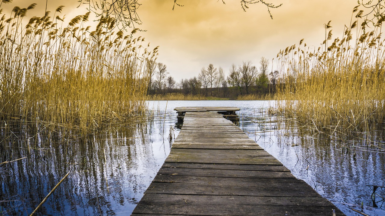 landscape-2239074_1280